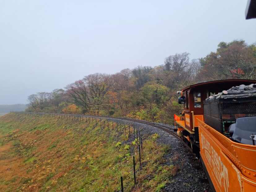นั่งรถไฟเที่ยว ECOLAND ในเกาะเจจู 1 1
